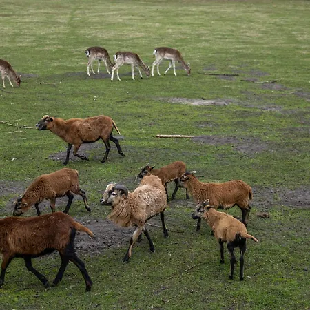 בית נופש Za Miastem - Bobrowniki