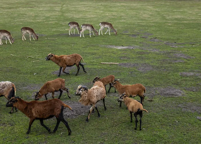 Prázdninový dům Za Miastem - Bobrowniki