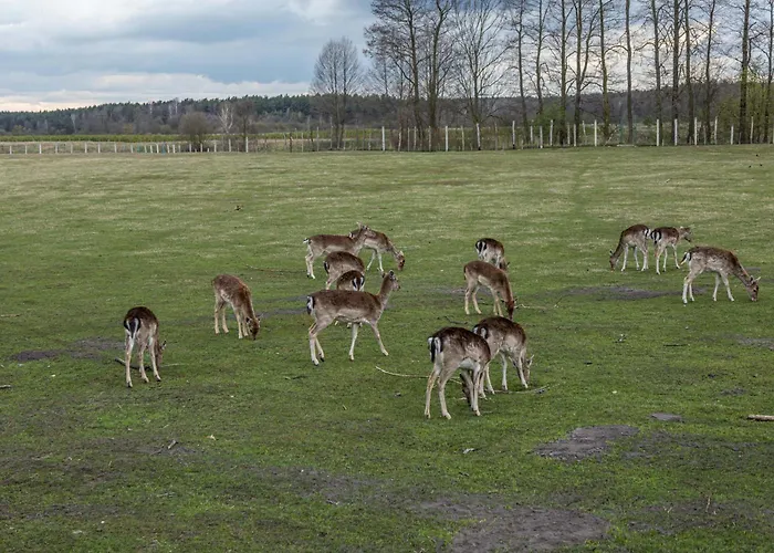 Za Miastem - Bobrowniki